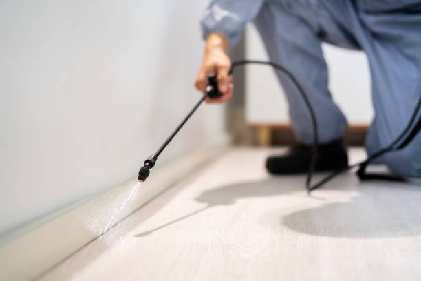 Licensed Pest Control service in Connerton, FL - Show Me Pest Control