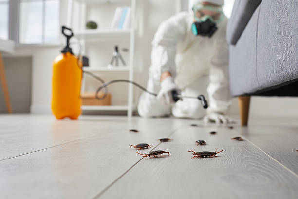 Commercial Rodent Management in Connerton